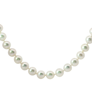 9ct Yellow Gold 8.5mm Akoya Pearls Single Row Necklace