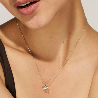 Nomination Jewellery Nomination Sterling Silver Dream Beats Cubic Zirconia Star Necklace 2504137