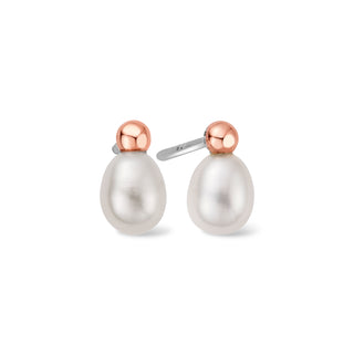 Clogau Silver Pearl Beachcomber Stud Earrings