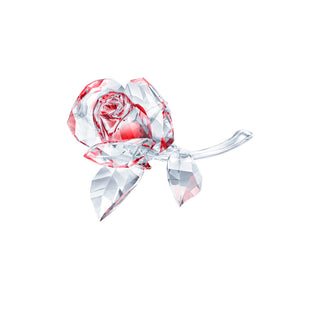 Swarovski Blossoming Rose