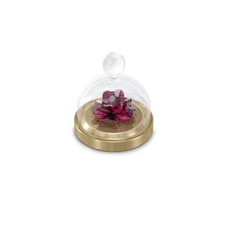 Swarovski Garden Tales Rose Bell Jar Small