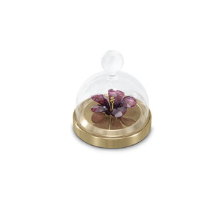 Swarovski Garden Tales Hibiscus Bell Jar Small
