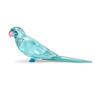 Swarovski Crystal Jungle Beats Blue Parakeet Paco Decoration