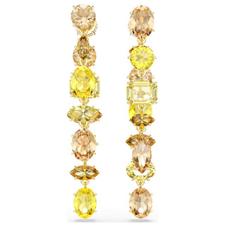 Swarovski Jewellery Swarovski Gold Tone Gema Drop Earrings 4402465
