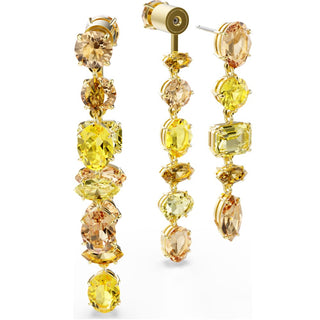 Swarovski Jewellery Swarovski Gold Tone Gema Drop Earrings 4402465