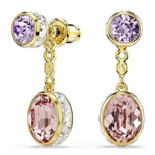 Swarovski Jewellery Swarovski Gold-Tone Plated Mutlicoloured Chroma Drop Earrings 4402482