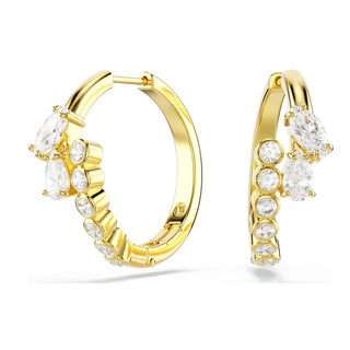 Swarovski Jewellery Swarovski Gold Finish Mesmera Hoop Earrings 4402497