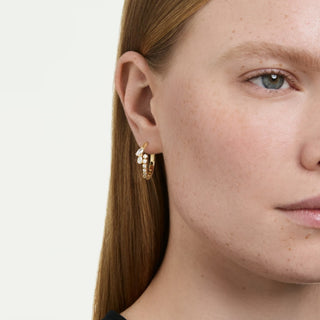 Swarovski Jewellery Swarovski Gold Finish Mesmera Hoop Earrings 4402497