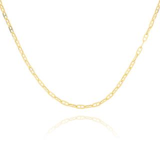 Allied Gold Jewellery 9ct Yellow Gold Paperclip Link Necklace - 18" 1412214