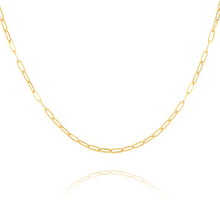 Fine Jewellery Jewellery 9ct Yellow Gold Paperclip Link Necklace - 20 Inches 1030109