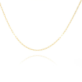 Allied Gold Jewellery 9ct Yellow Gold Small Paperclip Link Necklace - 20" 1412192