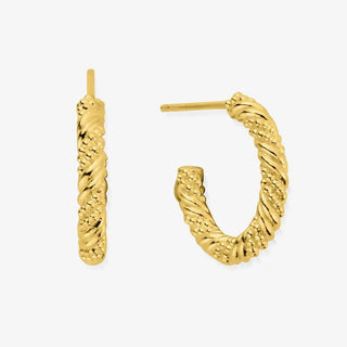 ChloBo Yellow Gold Plate Entwined Passion Hoop Earrings