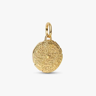 Pandora Gold Plated Lion Medallion Charm back