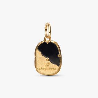 Pandora Jewellery Pandora Gold Plated Owl Medallion Charm 2931550