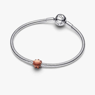 Pandora Jewellery Pandora Silver Orange Sun Mini Charm 2931601