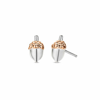 Royal Clogau Silver Oak Leaf Stud Earrings