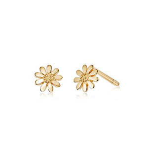 Daisy London Yellow Gold Plated 5mm Marguerite Daisy Stud Earrings