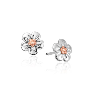 Clogau Silver Forget-me-not Stud Earrings