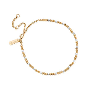 Chlobo Yellow Gold Plated Dainty Pumpkin Anklet